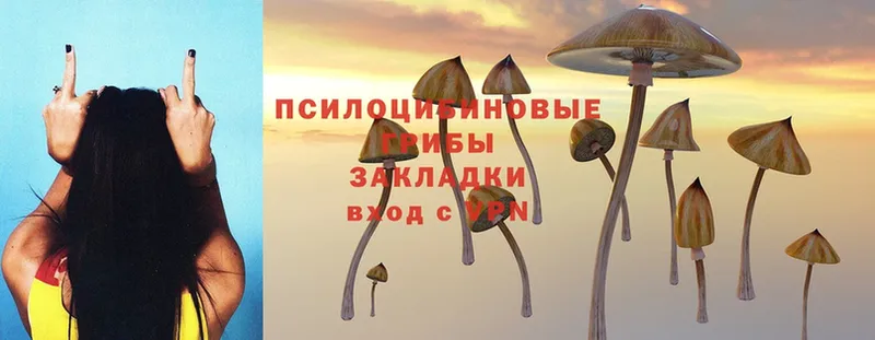 Псилоцибиновые грибы MAGIC MUSHROOMS  цены   Железногорск-Илимский 